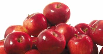 Яблочное желе на зиму Желе из яблок без сахара рецепт
