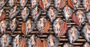 Вяленая рыба — технология засолки и вяленья в домашних условиях по пошаговым рецептам с фото Вяленая рыба в духовке